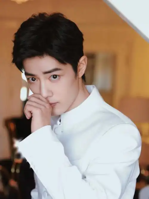 肖战白色中山装