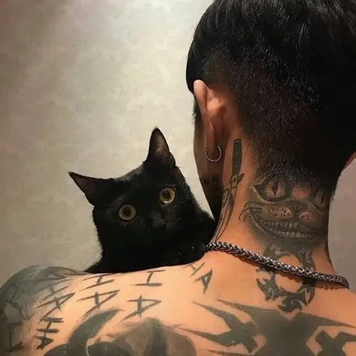 黑猫纹身男背影头像