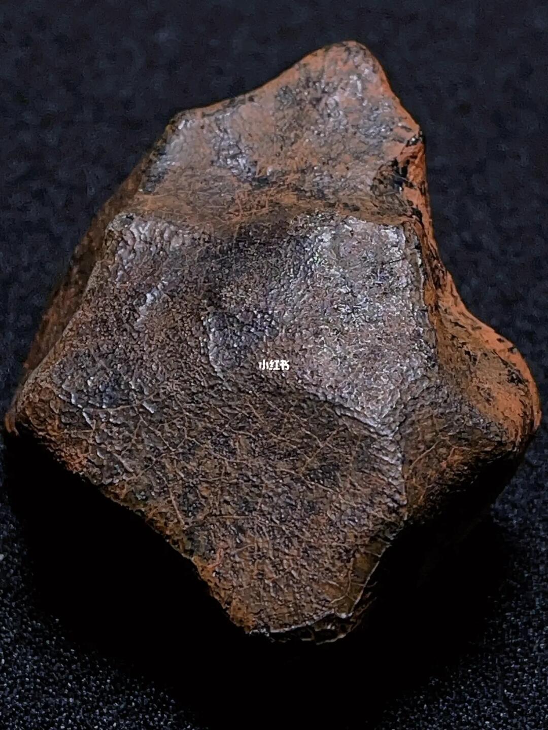 灶神星无球粒陨石