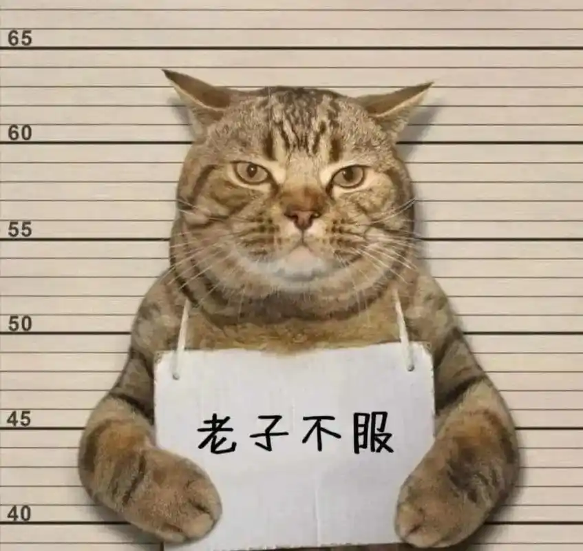 搞怪动物系分享一波动物#头像 - 抖音