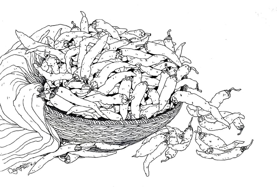 辣椒写生#线描  #钢笔画  #速写  #静物 #寻找小红书绘画大神  #艺朮