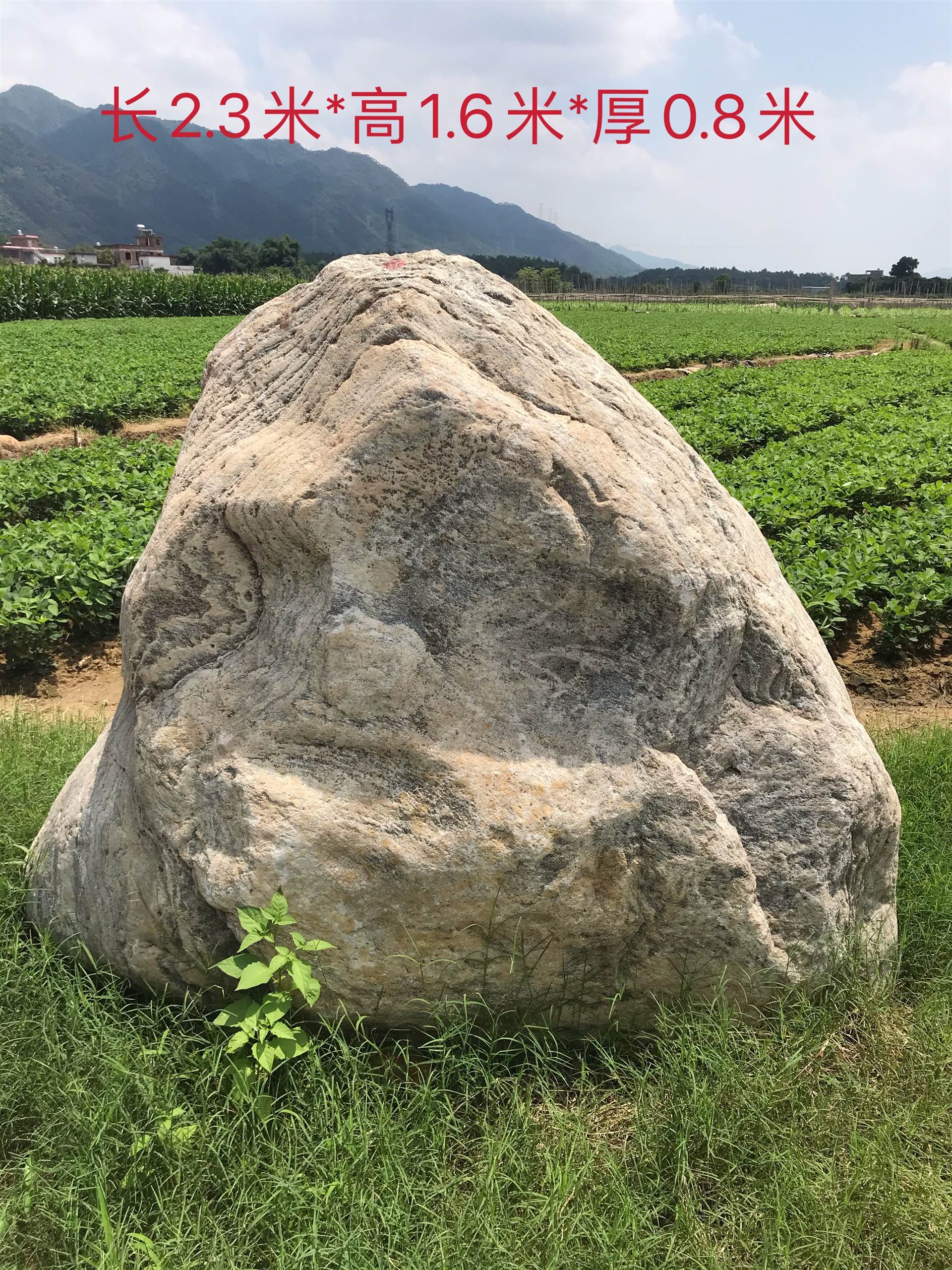 东兰大型刻字石批发零售公园风景石