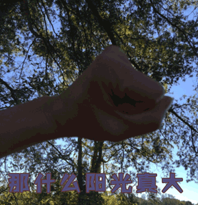 转移话题gif动图_动态图_表情包下载_soogif