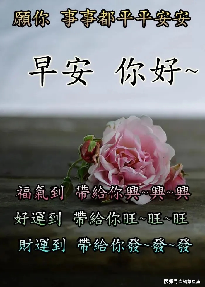 2021年4月28日星期三早上好问候祝福动态表情图片 周三最新早安问候语