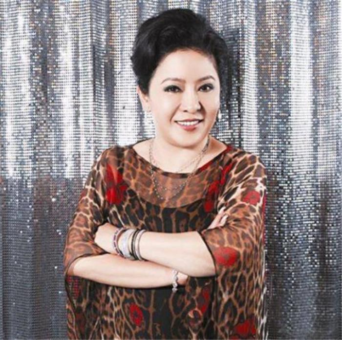 向华强太太陈岚一个让向华强离不开的女人