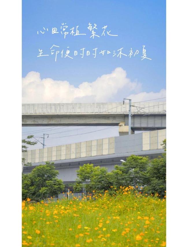 治愈心灵的精美句子,句句暖心,值得收藏