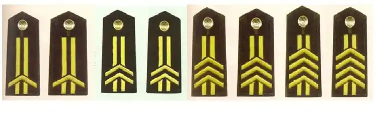 年,并经过军(或相当于军的单位)主官批准后,晋升为陆军四级军士长军衔