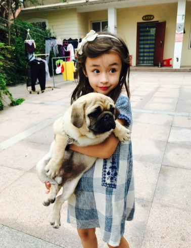 惊为天人小手牵小狗中德混血苏菲实力圈粉