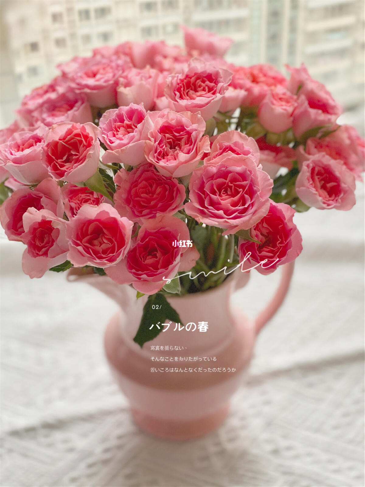 高雅爱人多头玫瑰