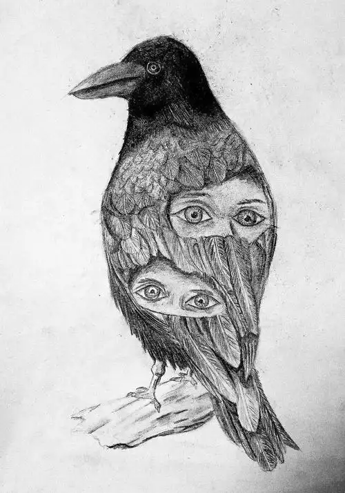 学生"创意素描——动物"作品集!