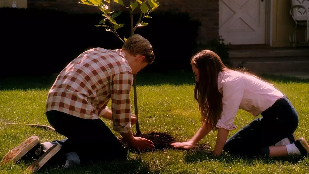 电影《怦然心动》:纯爱只是外表,这句台词才是重点