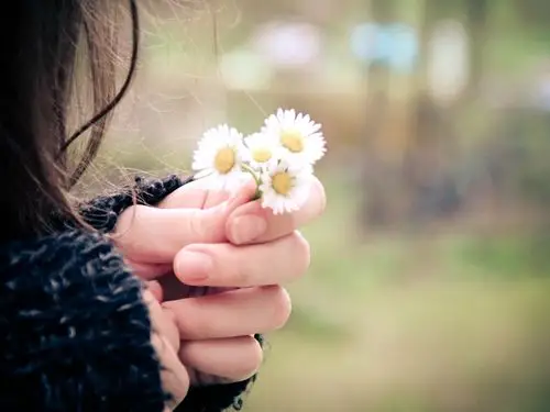 你给的幸福还在我手中,手,花,安静,唯美,小清新,舒缓,心情,静谧安然