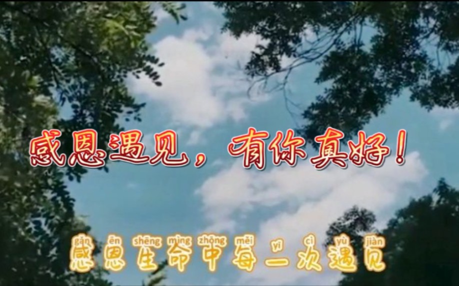 活动作品分享徐志摩的有你真好感恩生命中的每一次遇见