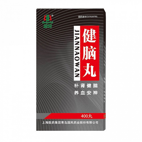国风 健脑丸 400丸