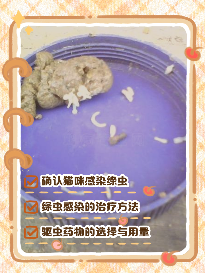 猫绦虫怎么彻底清除
