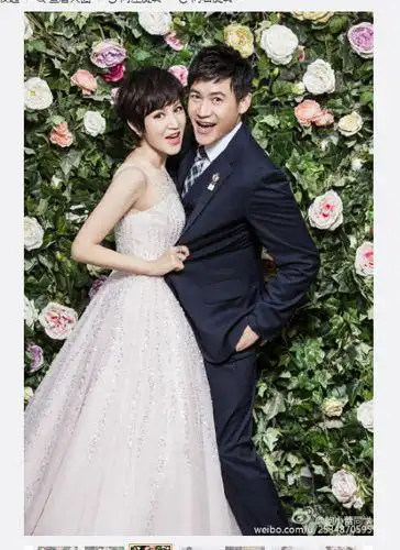 鲍蕾晒与老公陆毅婚纱照庆祝相恋20年组图