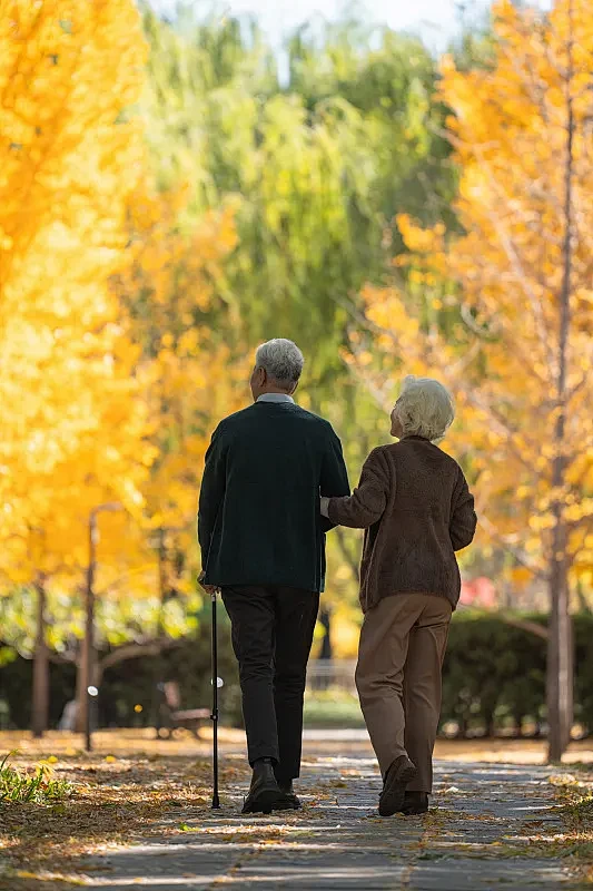 老年夫妇在户外散步的背影图片