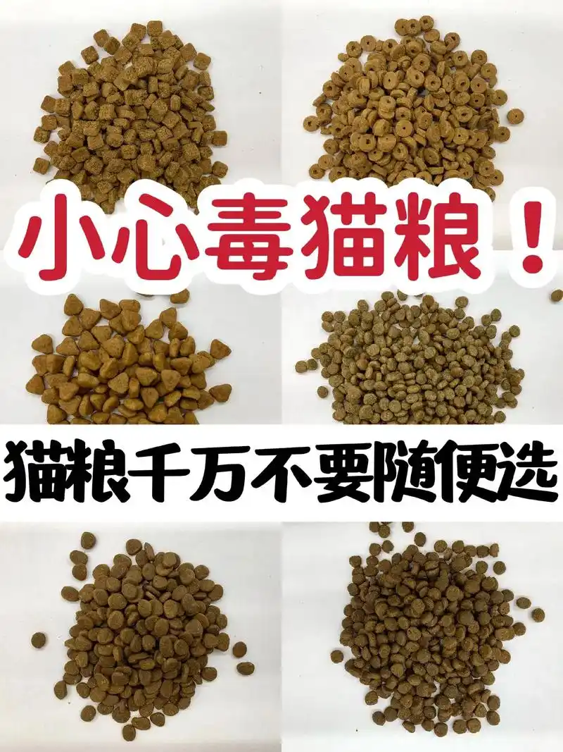 小心毒猫粮.很多新手铲屎官不知 - 抖音