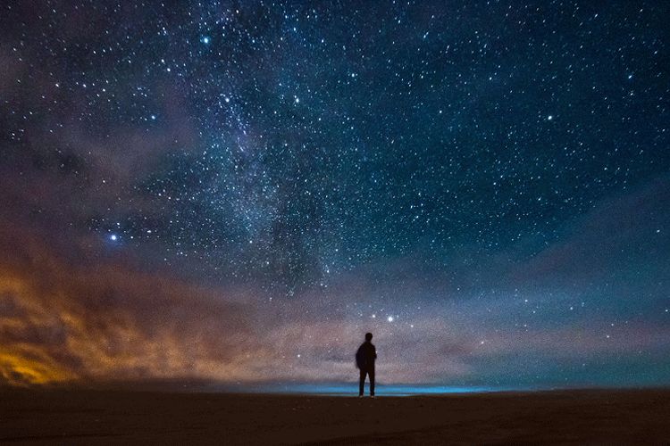在我们的一生中,遇到爱,遇到性,都不稀罕,稀罕的是遇到了解.
