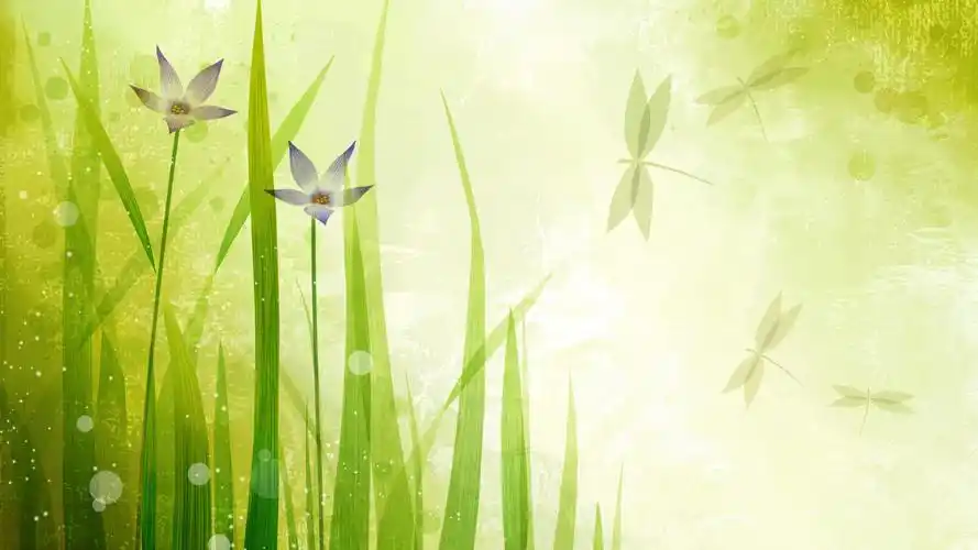 简约的手绘炫彩花卉创意图片桌面壁纸高清,设计创意,花草植物,手绘