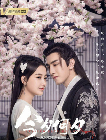 宋茜,欧豪 《遇见璀璨的你》陈乔恩,金瀚 《旗袍美探》马伊琍,高伟光