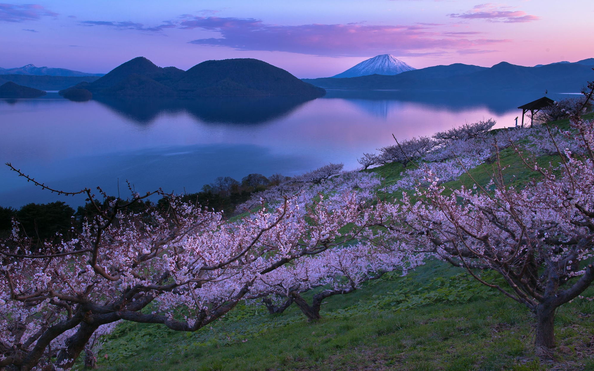 和湖畔的樱花树电脑壁纸下载 (1/ 1) 2015-07-24 15:17:01 壁纸尺寸是