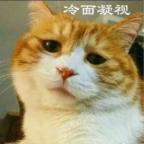 闲得无聊可以折个jb送你朋友表情包 - 表情图