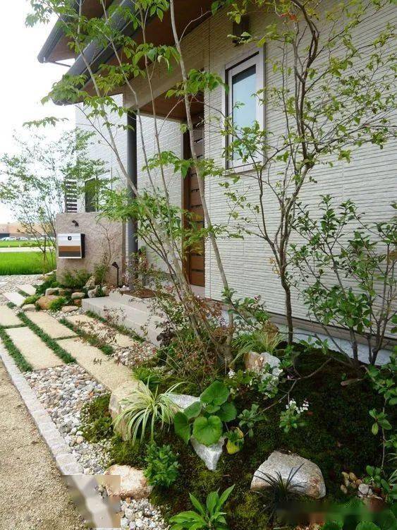 杂木飘逸,姿态优美能为庭院景观带来山野情趣,秋赏红叶秋高气爽中闲适