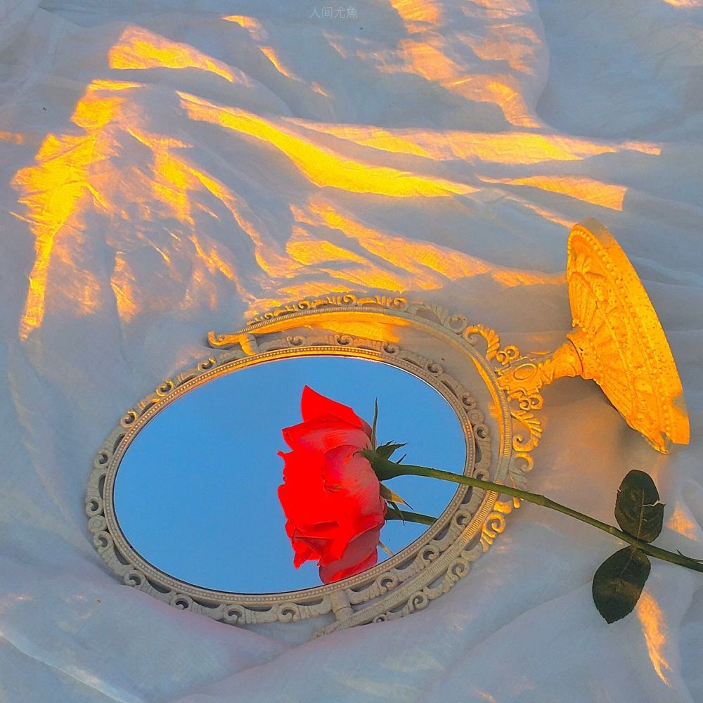 ins风背景图 收集人间温柔去见你_腾讯新闻