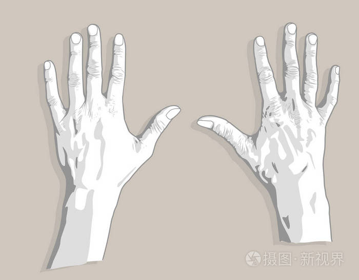 两手掌素描