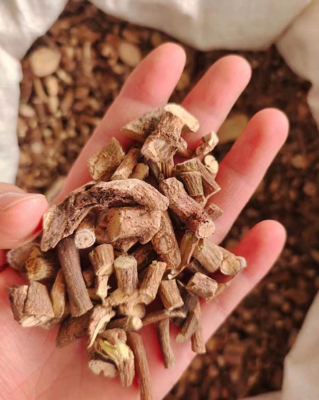 中药材鸡屎藤最近价格  功效与作用  质量可靠 最近价格与动态