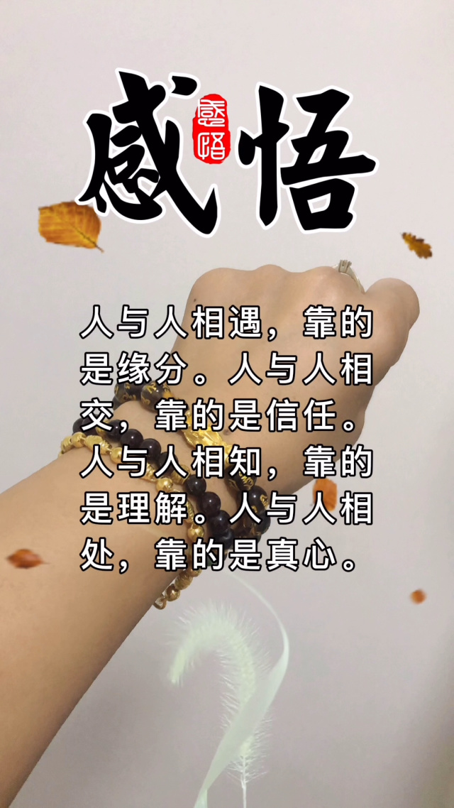 人与人之间不管什么关系,靠的是要互相尊重互相包容