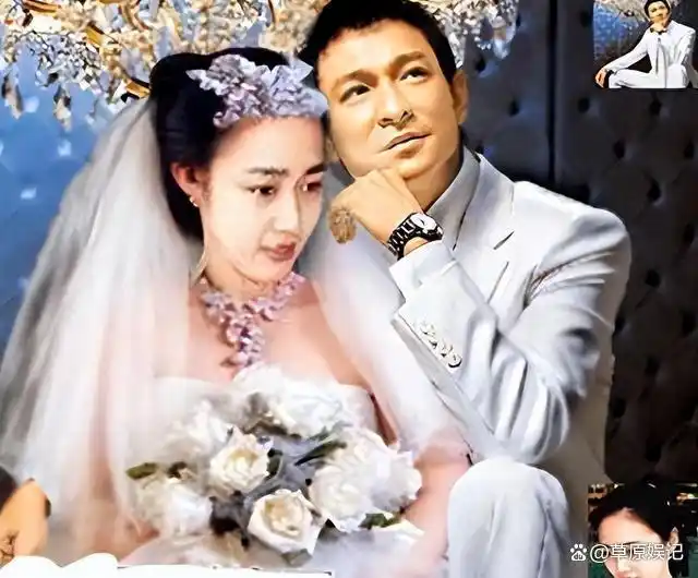 遮羞布彻底盖不住了刘德华赖文慧关系曝光除了结婚证啥都给了