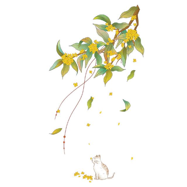 药材闻名于世,最后一种才是我们熟悉的中国传统十大名花之一——桂花