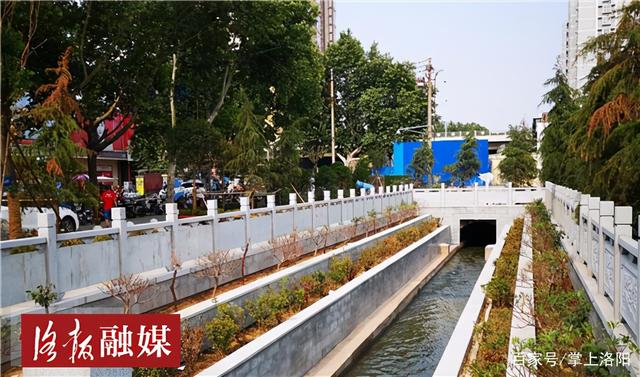 洛阳这条小水渠变身"景观渠",从早到晚游人不断