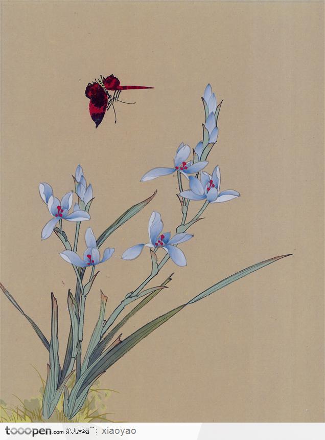 工笔画—兰花   素材公社 tooopen.com