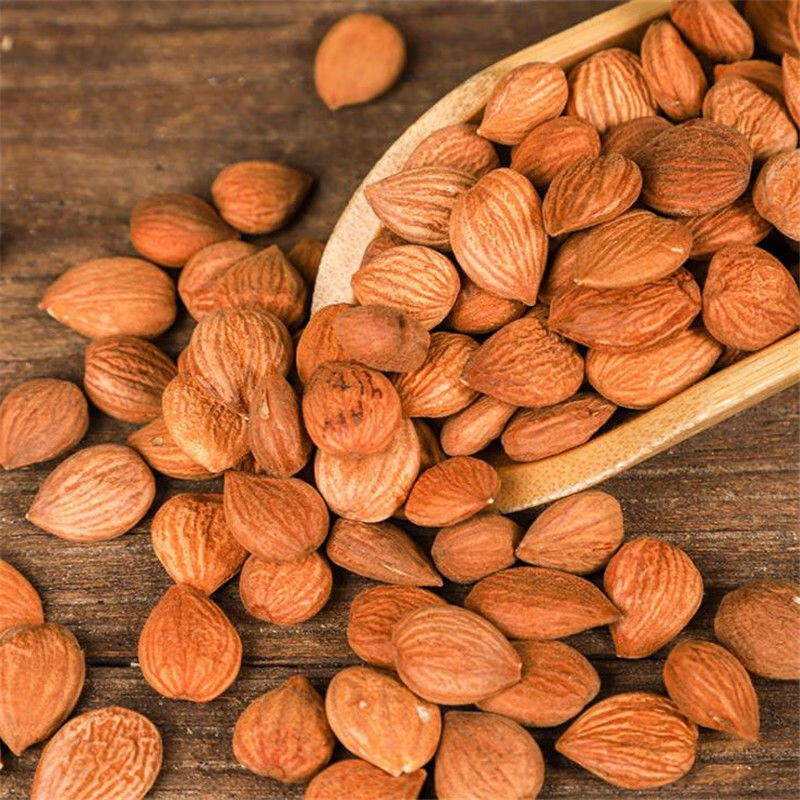 北京同仁堂 桃仁 中药材精选去壳带皮桃仁药用山桃仁 生桃仁 桃仁粉