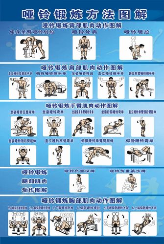 哑铃锻炼方法图解(哑铃锻炼指南)-52线报网