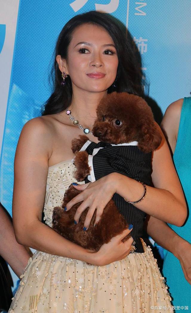 从19岁出道到现在,章子怡以优秀的演技和迷人的外貌,成为了中国女星的