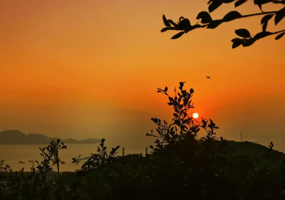 山顶落日唯美#你的坚持终将美好  - 抖音