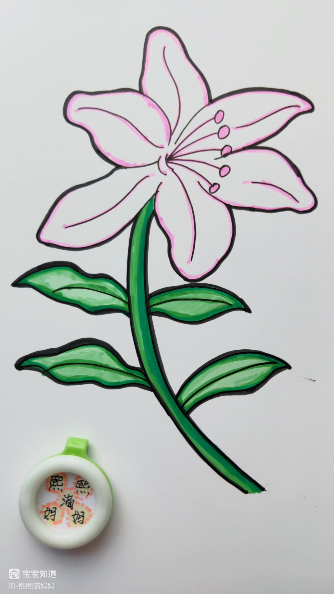 精 幼儿绘画:教你快速的画一朵漂亮的花