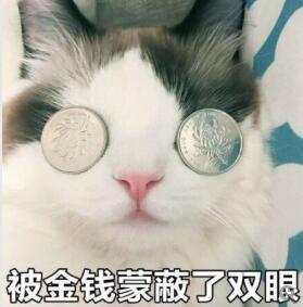 猫咪喵星人金钱蒙蔽双眼斗图搞笑硬币gif动图_动态图_表情包下载_soo