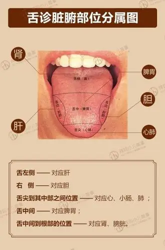 在这里有一个简单的区分方法,就是观察孩子的舌苔.