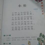 小松 杜荀鹤_唐诗三百首 徐言希读古诗_免费在线阅读收听下载