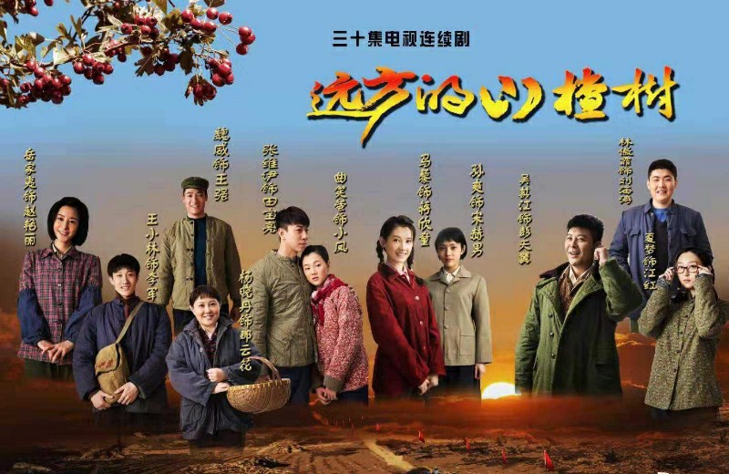 远方的山楂树即将在央视频道播出一部很有年代感的剧