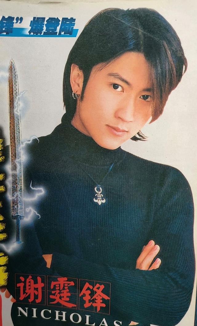 青春岁月偶像~谢霆锋年轻图片集