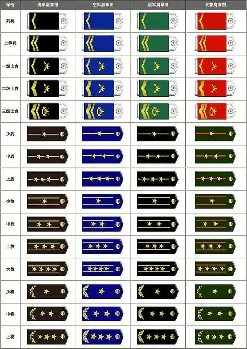 中国人民解放军99式军衔肩章图