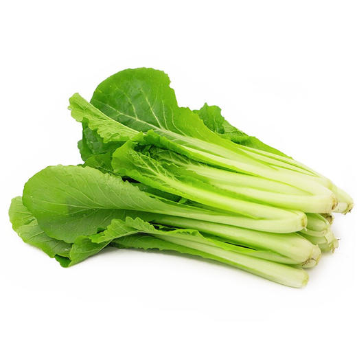 【同城快送】有机四季小白菜/杭白菜 小青菜 素食推荐 生鲜蔬菜 绿叶