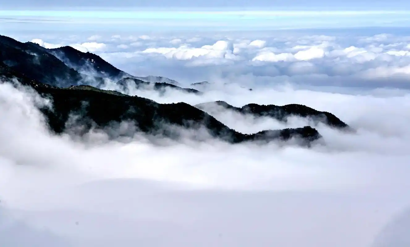 雨后云海肆意翻涌,瞬间整座大山风景如画;真是"山在云中行,人在画中游