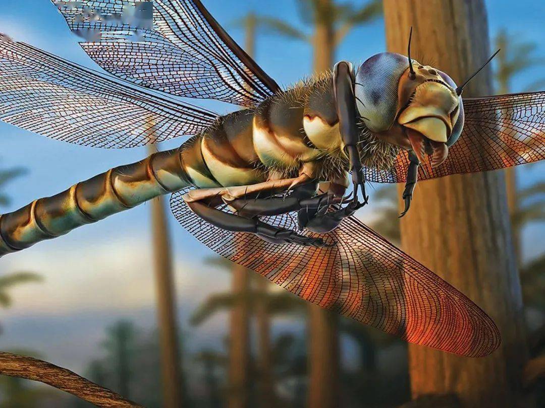 一亿年前的森林,隐藏着多少恐怖?